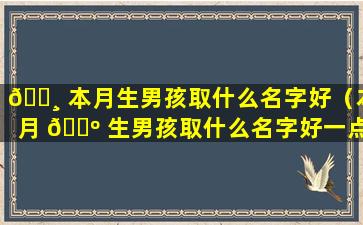 🌸 本月生男孩取什么名字好（本月 🐺 生男孩取什么名字好一点）